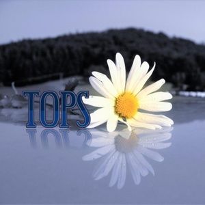 TOPS, TOPS AND MORE TOPS!